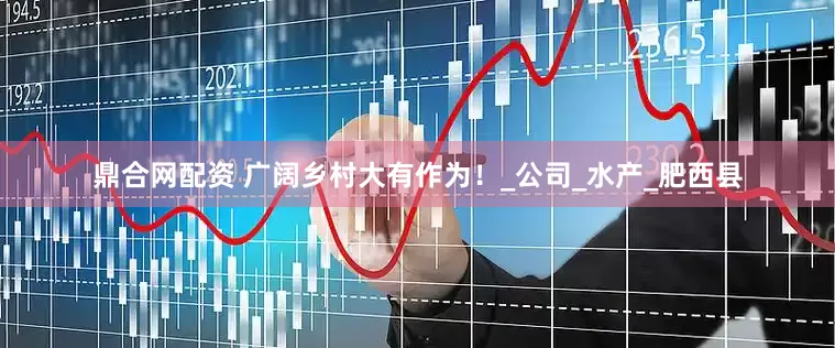 鼎合网配资 广阔乡村大有作为！_公司_水产_肥西县
