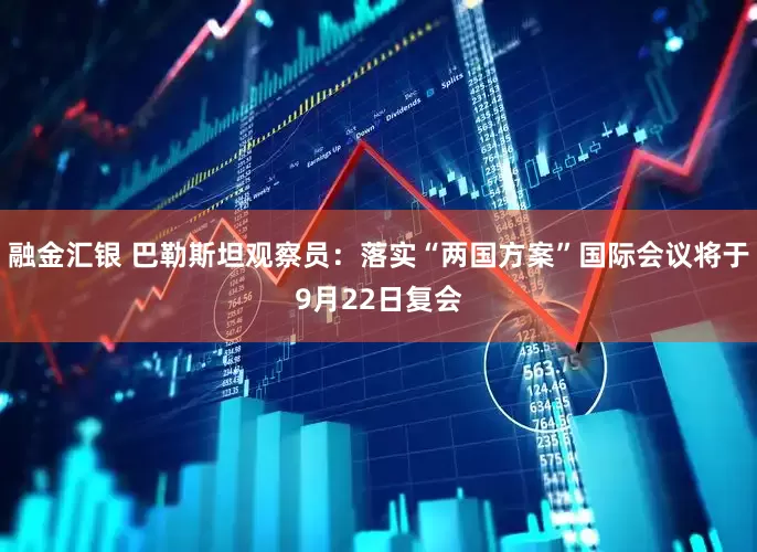 融金汇银 巴勒斯坦观察员：落实“两国方案”国际会议将于9月22日复会