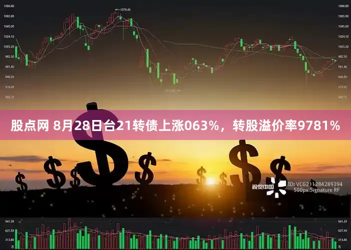 股点网 8月28日台21转债上涨063%，转股溢价率9781%