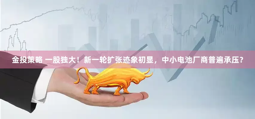 金投策略 一股独大！新一轮扩张迹象初显，中小电池厂商普遍承压？